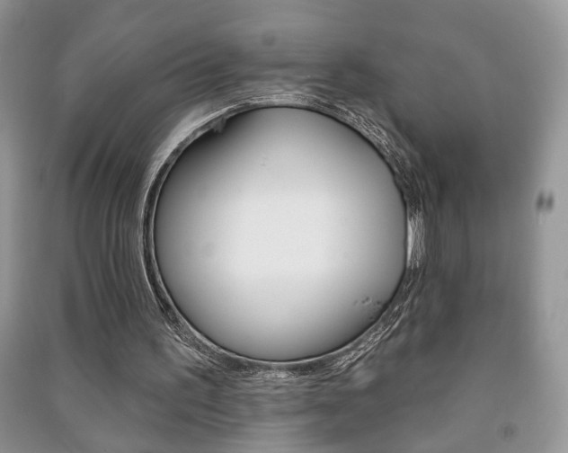 X0000091170195200708091031