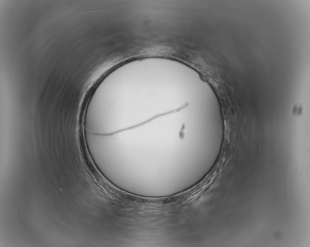 X0000091170196200708091031