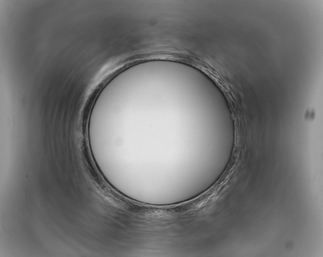 X0000091170198200708091031