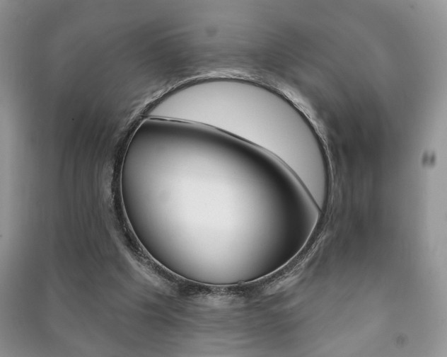 X0000091170201200708091031