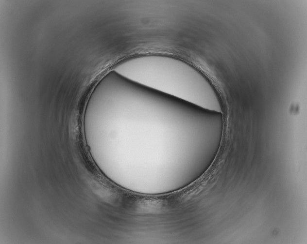 X0000091170202200708091031