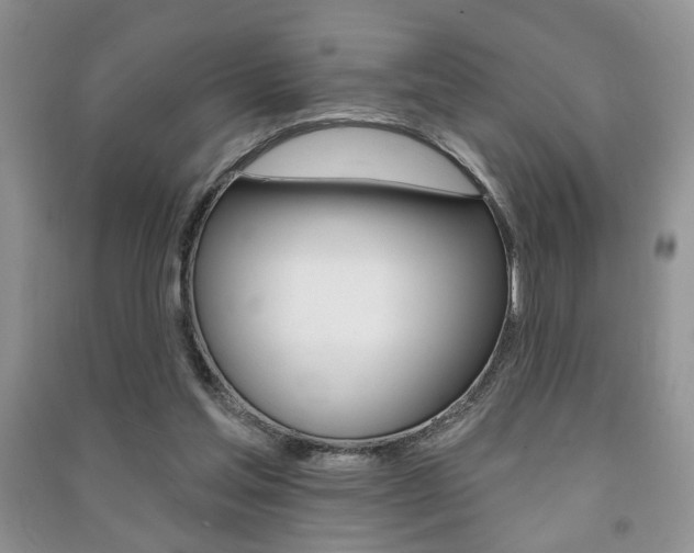 X0000091170205200708091031