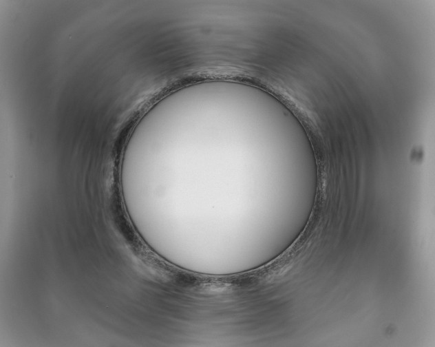 X0000091170206200708091031