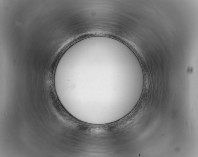 X0000091170208200708091031
