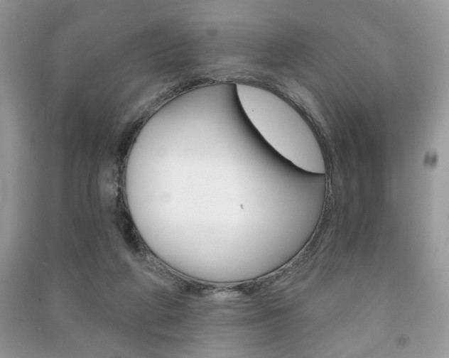 X0000091170210200708091031