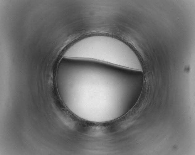 X0000091170212200708091031