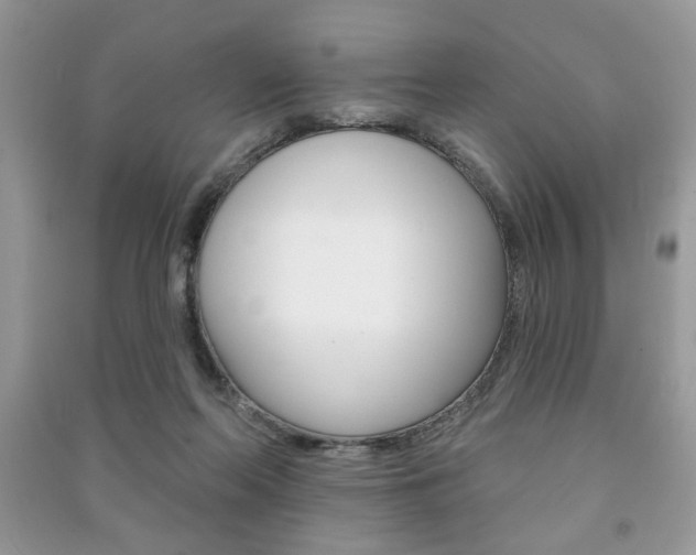 X0000091170214200708091031