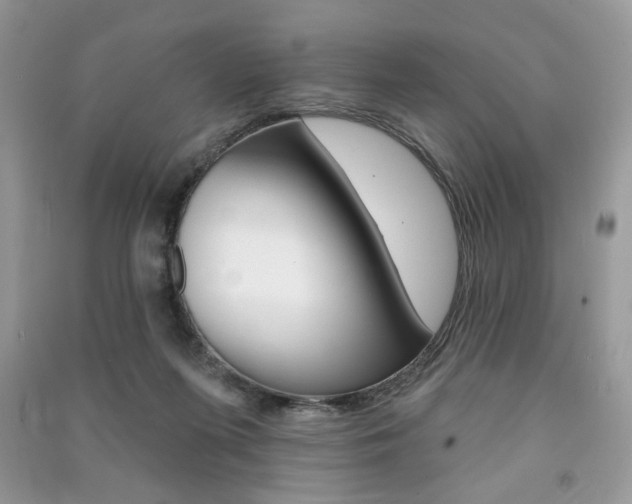 X0000091170215200708091031