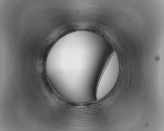 X0000091170216200708091031