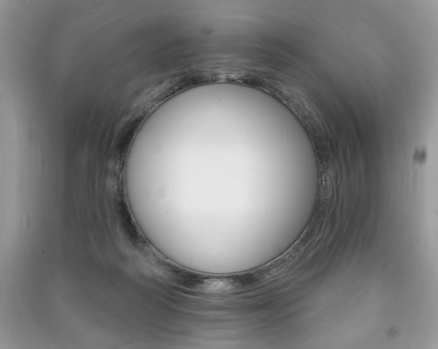 X0000091170218200708091031