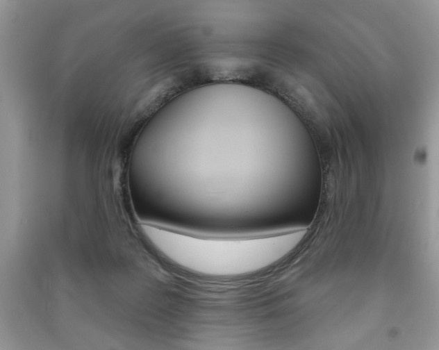 X0000091170219200708091031
