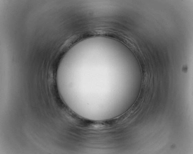 X0000091170220200708091031