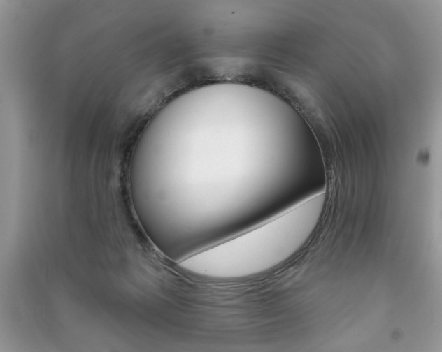X0000091170221200708091031