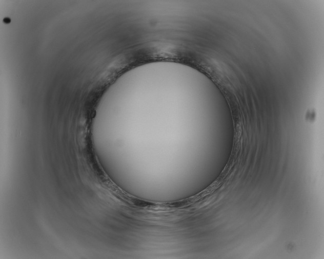 X0000091170223200708091031
