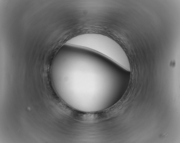 X0000091170225200708091031
