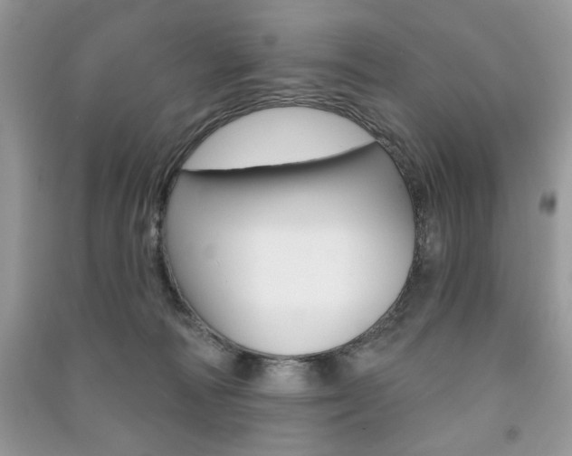 X0000091170226200708091031