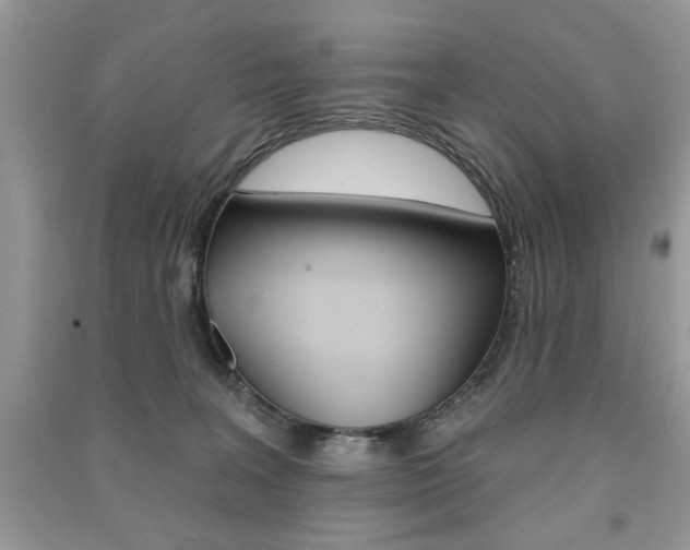 X0000091170227200708091031