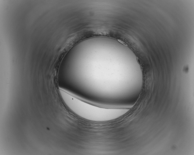 X0000091170229200708091031