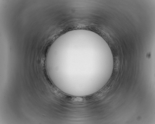X0000091170230200708091031