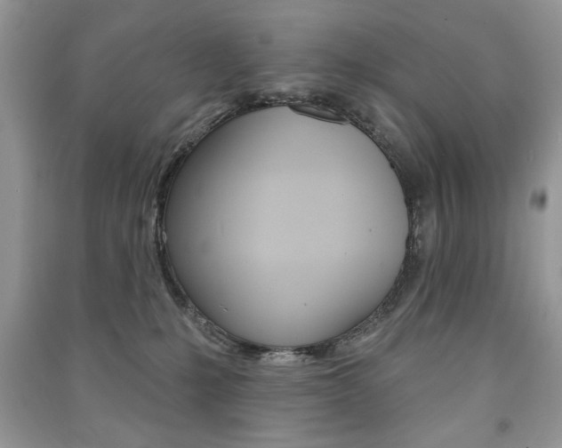 X0000091170231200708091031