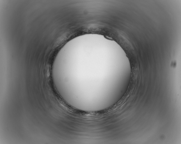 X0000091170232200708091031