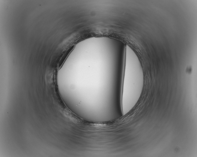 X0000091170233200708091031