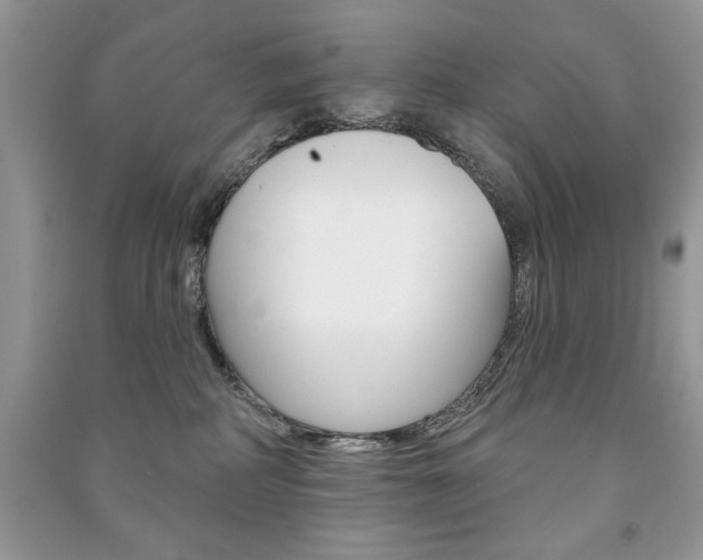 X0000091170234200708091031
