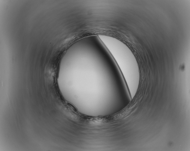 X0000091170235200708091031