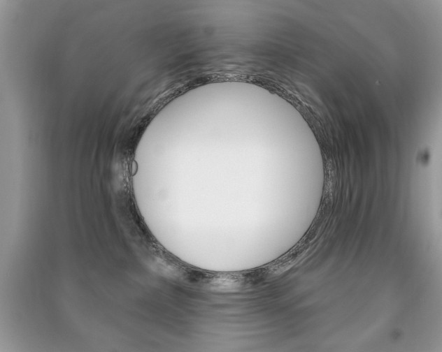 X0000091170236200708091031