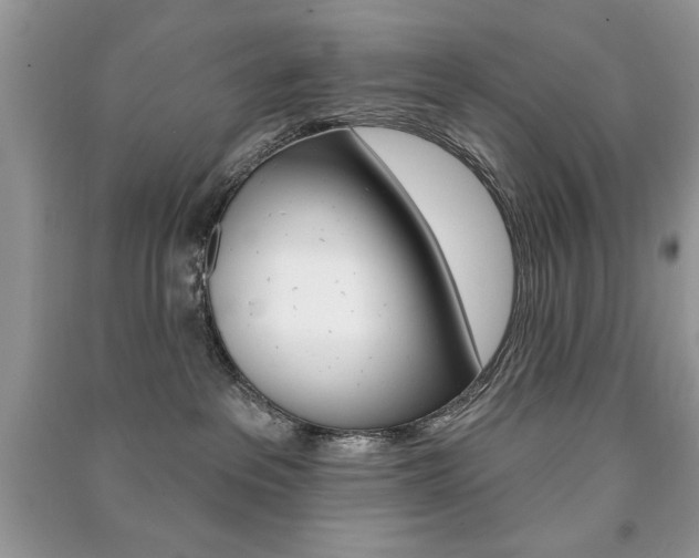 X0000091170237200708091031
