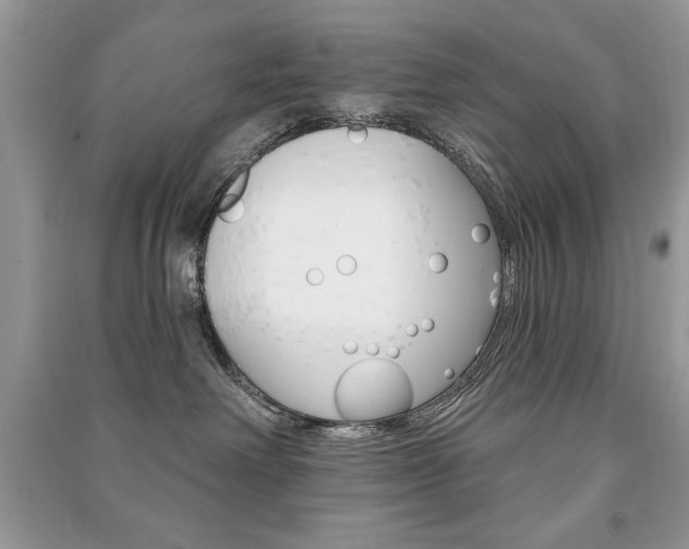 X0000091170238200708091031