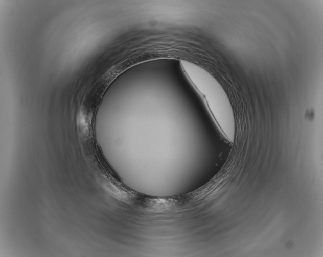 X0000091170239200708091031