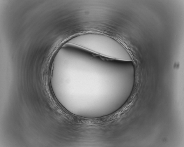 X0000091170241200708091030