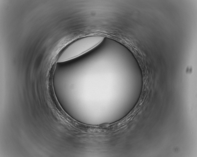 X0000091170242200708091030