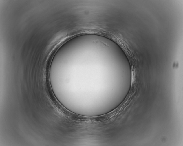 X0000091170243200708091030