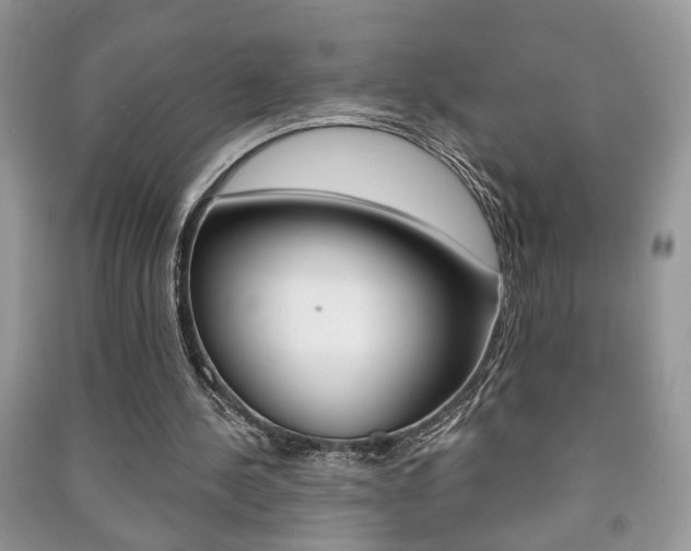 X0000091170244200708091030