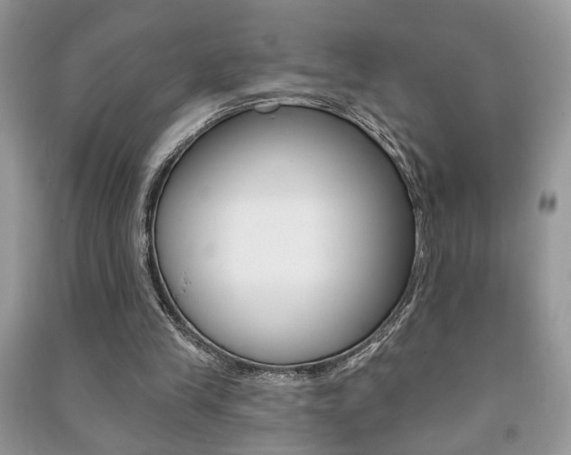 X0000091170245200708091030