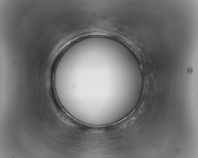 X0000091170247200708091030