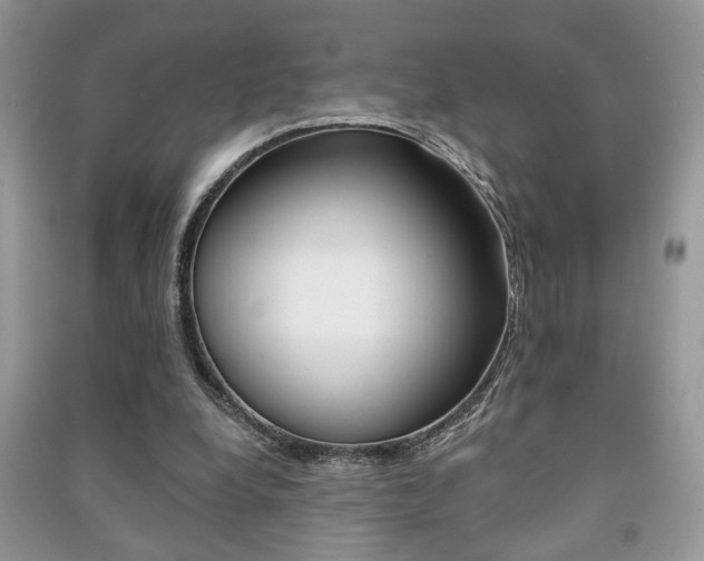 X0000091170248200708091030