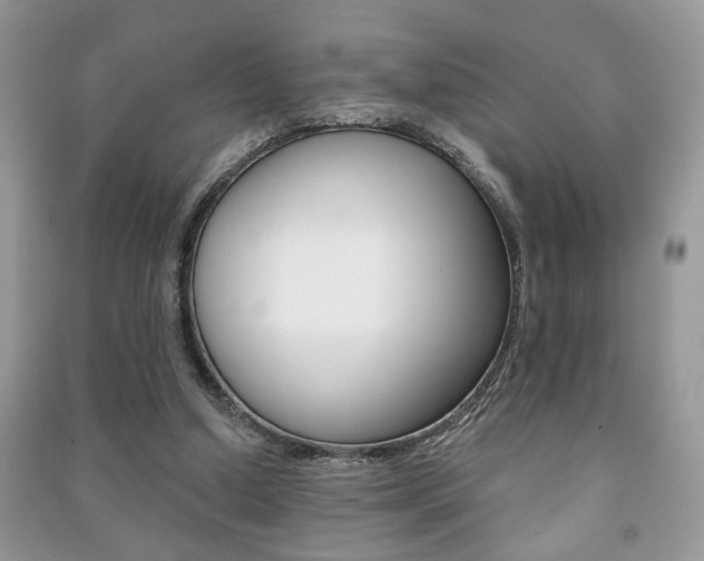 X0000091170250200708091030