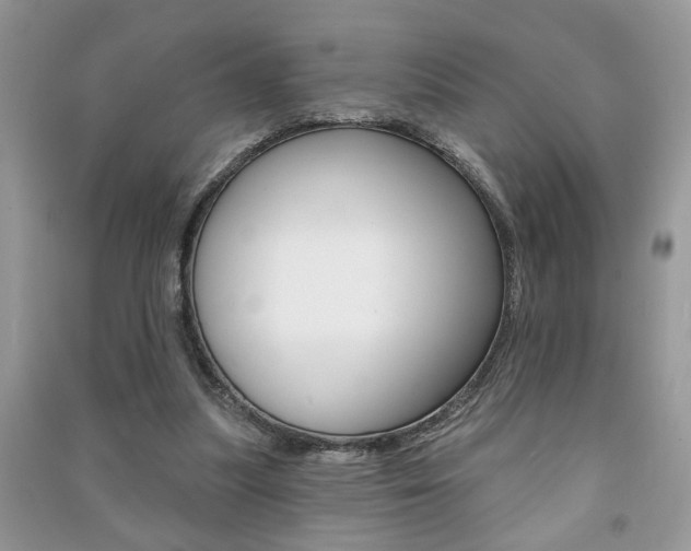 X0000091170251200708091030
