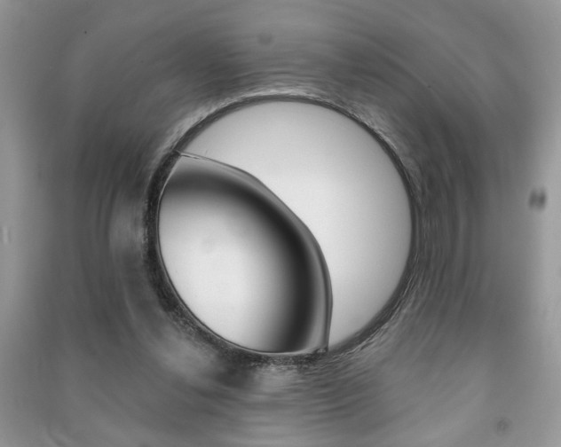 X0000091170252200708091030