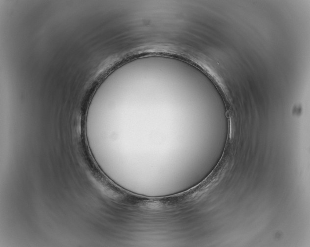 X0000091170253200708091030