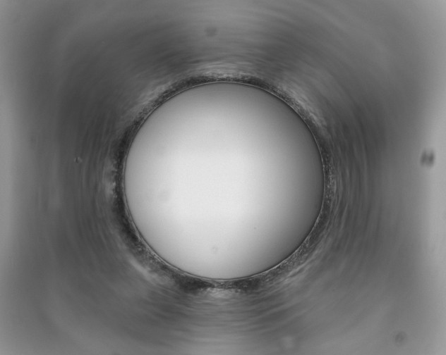 X0000091170255200708091030