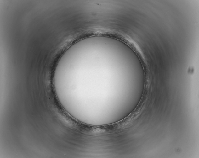 X0000091170257200708091030
