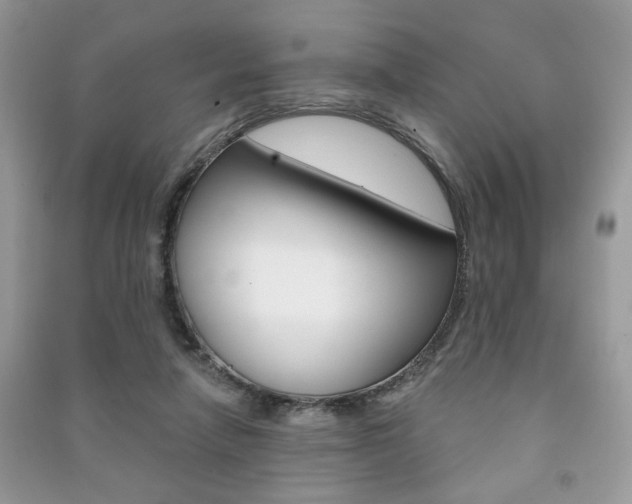 X0000091170258200708091030