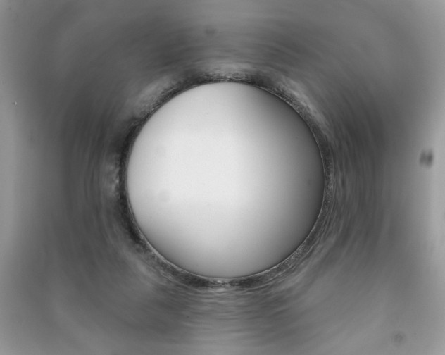 X0000091170259200708091030