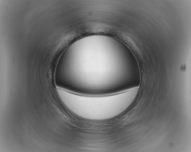 X0000091170260200708091030