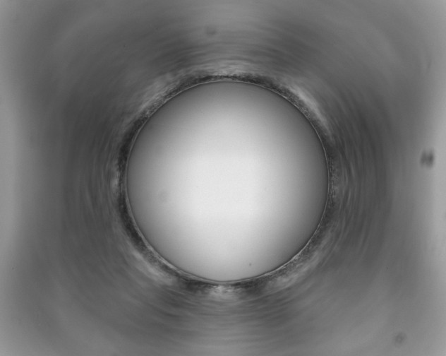 X0000091170261200708091030