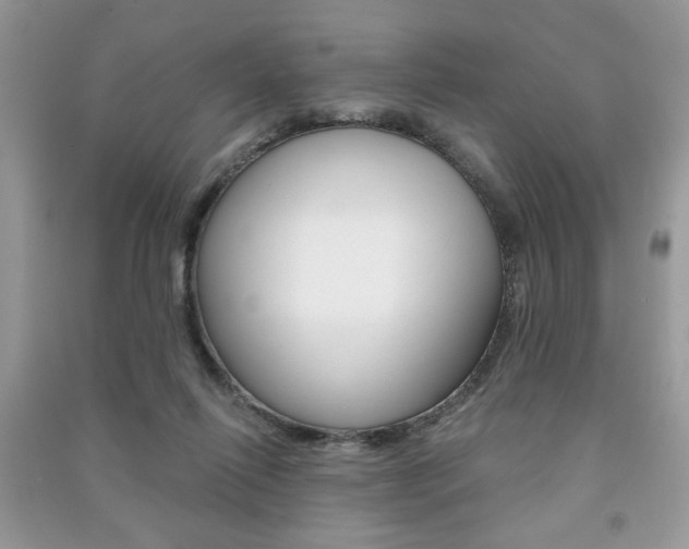 X0000091170262200708091030